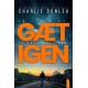 Gæt igen