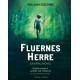 Fluernes Herre graphic novel: Grafisk roman
