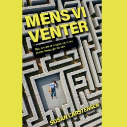 Mens vi venter: Når systemet svigter – og vi må skabe løsningerne selv
