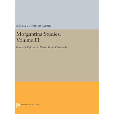 Morgantina Studies, Volume III: Fornaci e Officine da Vasaio Tardo-ellenistiche. (In Italian) (Late Hellenistic Potters' Kilns and Workshops)