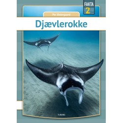 Djævlerokke