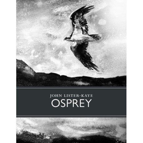 Osprey
