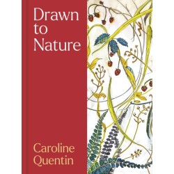 Drawn to Nature