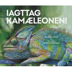 Iagttag kamæleonen