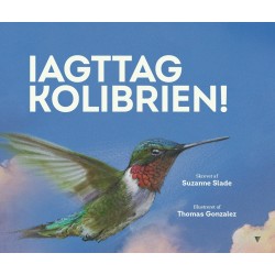 Iagttag kolibrien