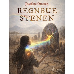 Regnbuestenen