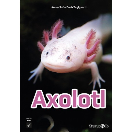 Axolotl