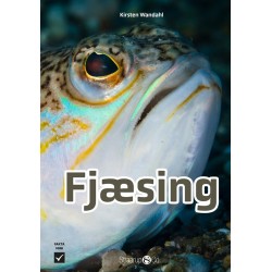 Fjæsing