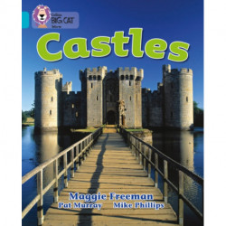 Castles: Band 07/Turquoise