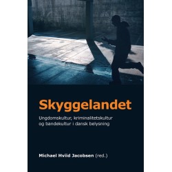 Skyggelandet: Ungdomskultur, kriminalitetskultur og bandekultur i dansk belysning