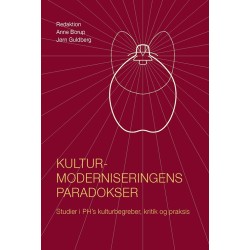 Kulturmoderniseringens paradokser: studier i PH's kulturbegreber, kritik og praksis