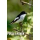 DANMARKS NATUR Fugle i haven