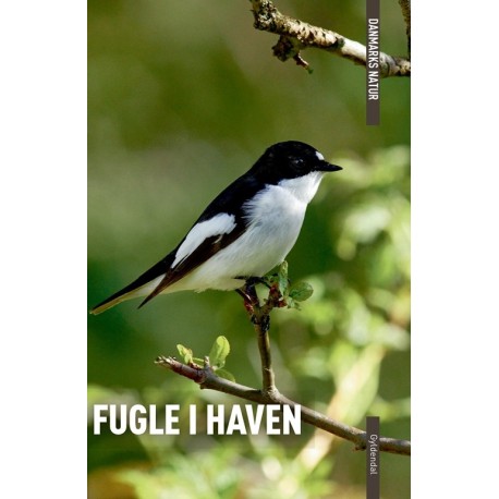 DANMARKS NATUR Fugle i haven