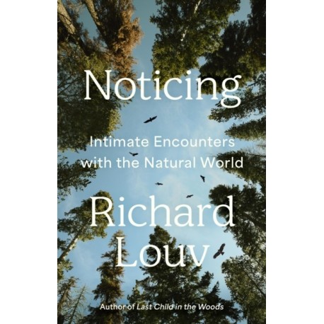 Noticing: Intimate Encounters With the Natural World