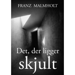 Det der ligger skjult: En roman om ansvar
