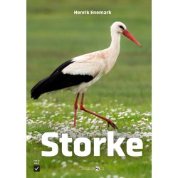 Storke