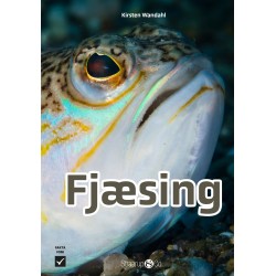 Fjæsing