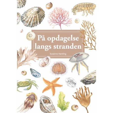 På opdagelse langs stranden, display med 10 stk.