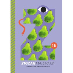 ZIGZAG Matematik 1B