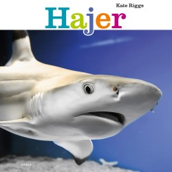 Hajer
