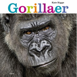 Gorillaer