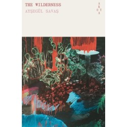 The Wilderness