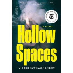 Hollow Spaces: A Novel