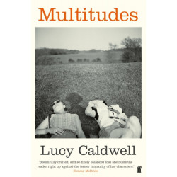 Multitudes: AN IRISH TIMES BEST IRISH BOOK OF THE 21ST CENTURY