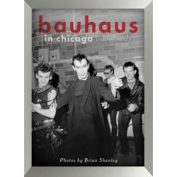 Bauhaus In Chicago