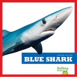 Blue Shark