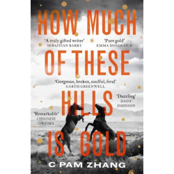 How Much of These Hills is Gold: 'A tale of two sisters during the gold rush ... beautifully written' The i, Best Books of the Year