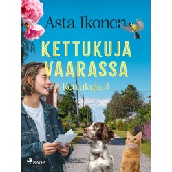 Kettukuja vaarassa