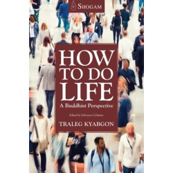 How To Do Life: A Buddhist Perspective