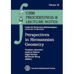 Perspectives in Riemannian Geometry