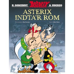Asterix: Asterix indta’r Rom