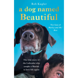 A Dog Named Beautiful: The true story of the Labrador who taught a Marine to love life again