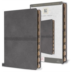 KJV Medium Format Large Print Gray Leathersoft with Index