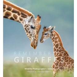 Remembering Giraffes