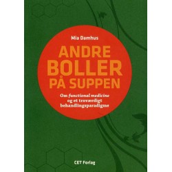 Andre boller på suppen: Om functional medicine og et troværdigt behandlingsparadigme