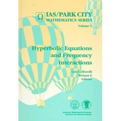 Hyperbolic Equations and Frequency Interactions