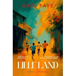 Lille land