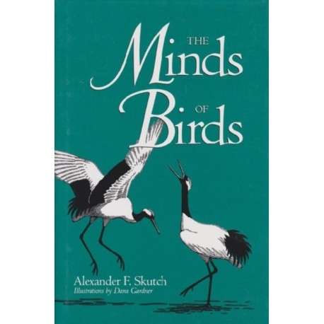 The Minds of Birds