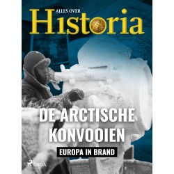 De Arctische konvooien