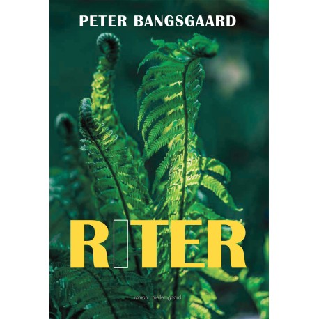 RITER