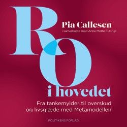 Ro i hovedet: Fra tankemylder til overskud og livsglæde med Metamodellen
