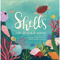 Shells: A Pop-Up Book of Wonder