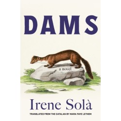 Dams: A Novel