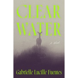 Clear Water: A Novel