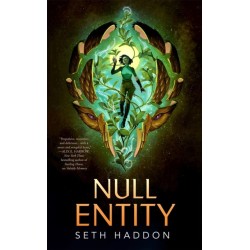 Null Entity