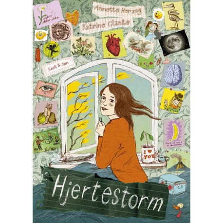 Hjertestorm